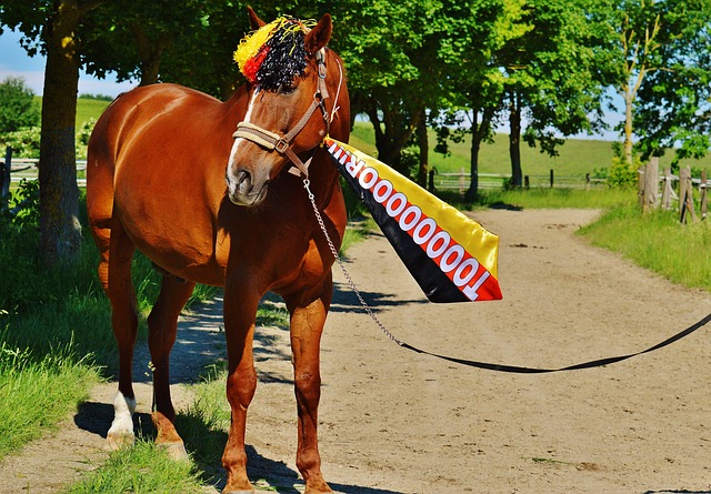 媒体：后梅西时代MLS何去何从？美国人现在爱看足球只因梅西！