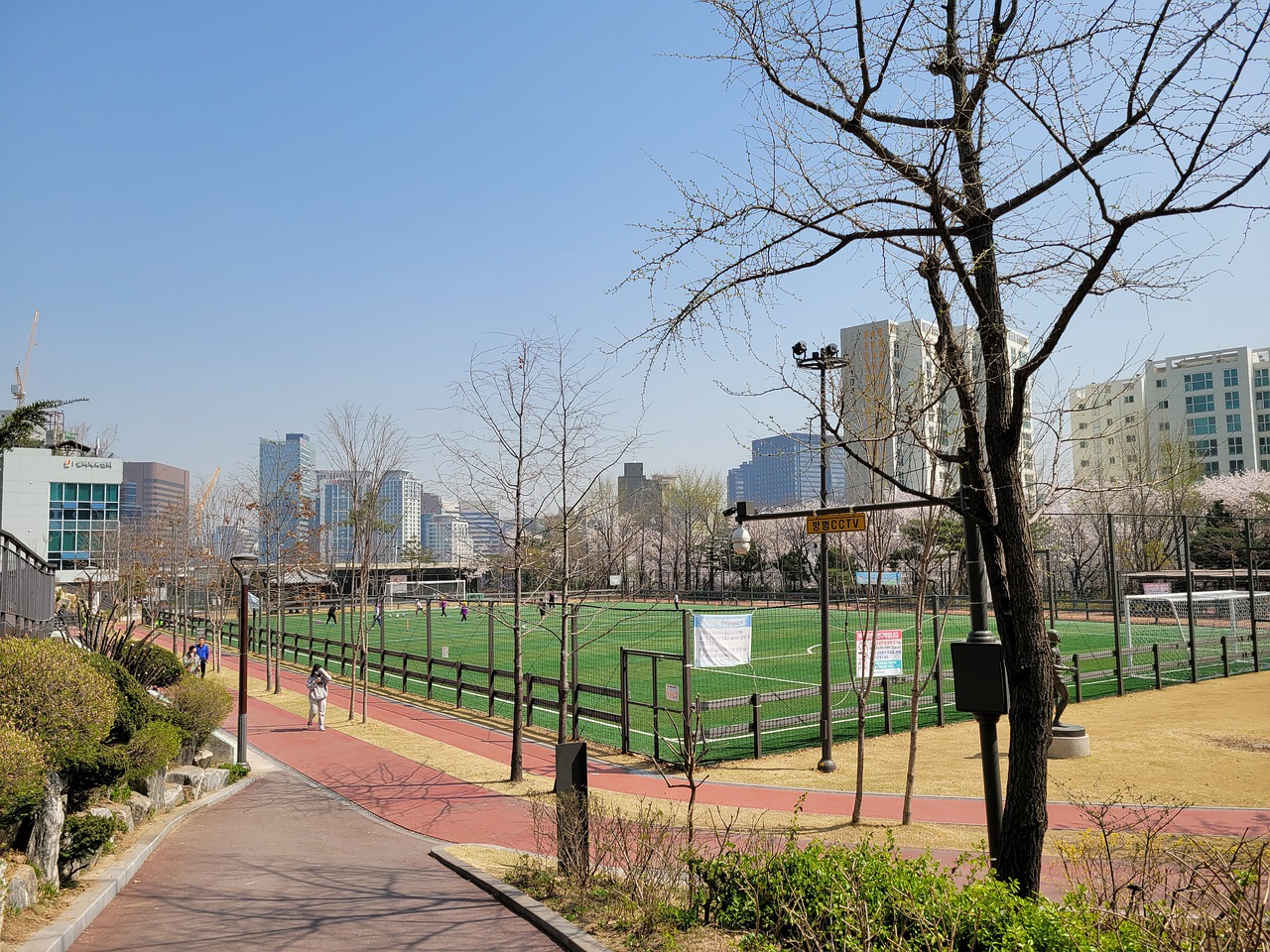 季带来了不