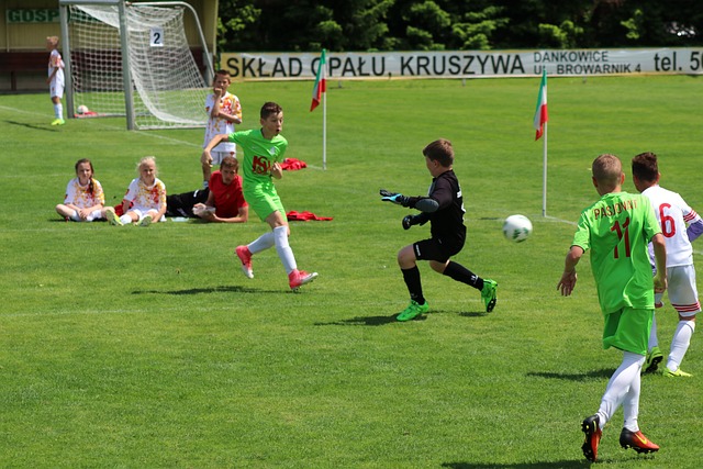 他们在转会 他们在转会