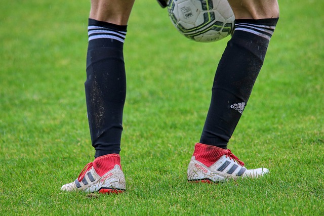 他们希望通 他们希望通