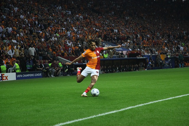 在个人能力 在个人能力