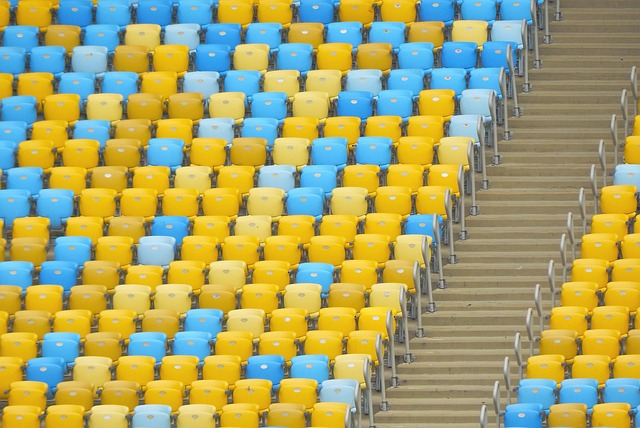 疑为中国女 疑为中国女