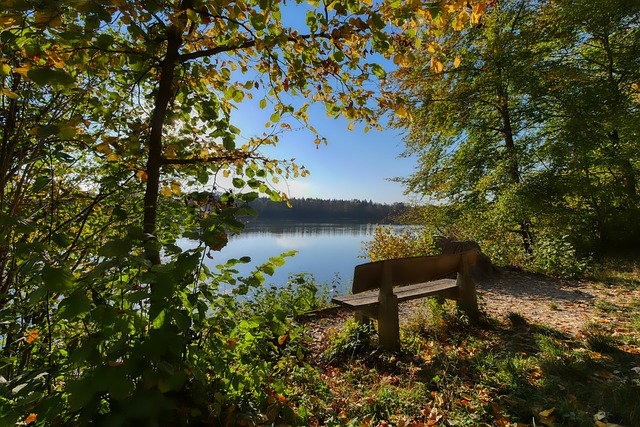 球队不必一 球队不必一